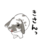 やもじ（個別スタンプ：26）