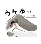 やもじ（個別スタンプ：28）
