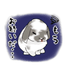 やもじ（個別スタンプ：31）