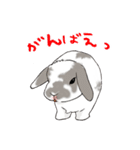 やもじ（個別スタンプ：37）