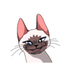 シャム猫のココア（個別スタンプ：6）