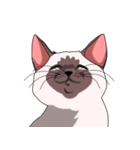 シャム猫のココア（個別スタンプ：7）
