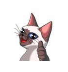 シャム猫のココア（個別スタンプ：10）