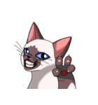 シャム猫のココア（個別スタンプ：13）