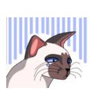 シャム猫のココア（個別スタンプ：21）