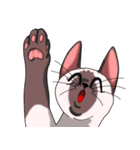 シャム猫のココア（個別スタンプ：29）