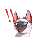 シャム猫のココア（個別スタンプ：30）