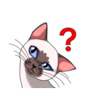 シャム猫のココア（個別スタンプ：33）