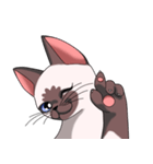 シャム猫のココア（個別スタンプ：39）
