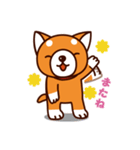 柴犬のしばちゃん（個別スタンプ：8）