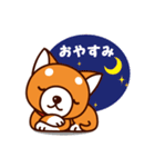 柴犬のしばちゃん（個別スタンプ：16）