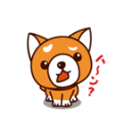 柴犬のしばちゃん（個別スタンプ：19）