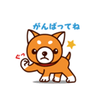 柴犬のしばちゃん（個別スタンプ：23）