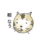 なうねこ2（個別スタンプ：12）