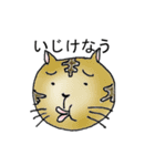 なうねこ2（個別スタンプ：13）