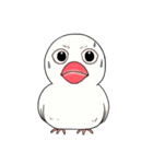 文鳥模様（個別スタンプ：21）