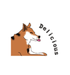 台湾のミックス犬-トフィーちゃん（個別スタンプ：5）