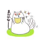 ごはんねこ（個別スタンプ：14）