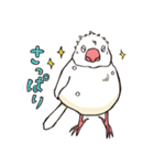 文鳥デイズ（個別スタンプ：28）