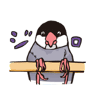 文鳥デイズ（個別スタンプ：39）