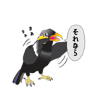 九ちゃんの接続詞（個別スタンプ：5）