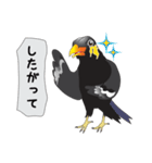 九ちゃんの接続詞（個別スタンプ：6）