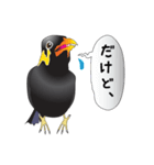 九ちゃんの接続詞（個別スタンプ：8）