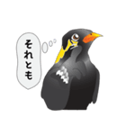 九ちゃんの接続詞（個別スタンプ：23）