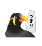 九ちゃんの接続詞（個別スタンプ：27）