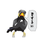 九ちゃんの接続詞（個別スタンプ：29）