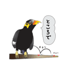 九ちゃんの接続詞（個別スタンプ：32）