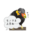 九ちゃんの接続詞（個別スタンプ：40）