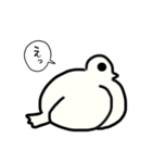ハト。（個別スタンプ：29）
