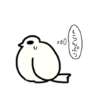 ハト。（個別スタンプ：38）