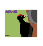 天然記念物の動物たち（個別スタンプ：11）