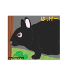 天然記念物の動物たち（個別スタンプ：24）