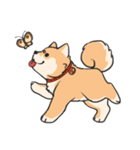 Shiba HATI BowBow（個別スタンプ：17）