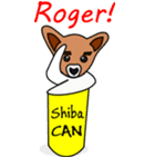 Shiba CAN and Tora CAN (Eng)（個別スタンプ：5）