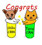Shiba CAN and Tora CAN (Eng)（個別スタンプ：19）
