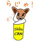 Shiba CAN and Tora CAN 4（個別スタンプ：5）