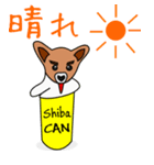 Shiba CAN and Tora CAN 4（個別スタンプ：36）