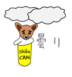 Shiba CAN and Tora CAN 4（個別スタンプ：37）