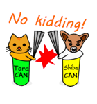 Shiba CAN ＆ Tora CAN 3 (Eng)（個別スタンプ：25）