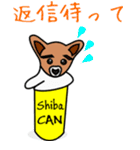 Shiba CAN ＆ Tora CAN 2（個別スタンプ：33）