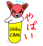 Shiba CAN ＆ Tora CAN 1（個別スタンプ：11）