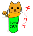 Shiba CAN ＆ Tora CAN 1（個別スタンプ：13）