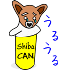 Shiba CAN ＆ Tora CAN 1（個別スタンプ：14）