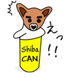 Shiba CAN ＆ Tora CAN 1（個別スタンプ：34）
