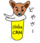 Shiba CAN ＆ Tora CAN 1（個別スタンプ：36）