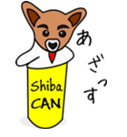 Shiba CAN ＆ Tora CAN 1（個別スタンプ：39）